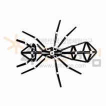 4D프레임 곤충(입체)개미