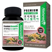 프리미엄 보스웰리아 60정, 60g, 3개
