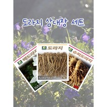 씨앗대장 도라지 삼대장 세트