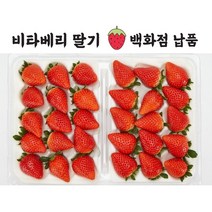 산지직송 고당도 비타베리 논산 딸기 (특) 800g 최상급 백화점 납품용 13.6brix 특급포장 선물박스, 800g+800g