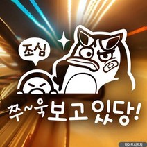 자동차스티커 조심 쭈욱보고있당 초보 화이트시트지 초보운전 차량용스티커 차량용스티커주문제작 차량스티커