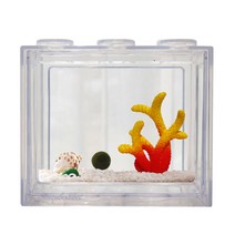 세남자바스켓 언더더씨 국산 마리모 DIY 세트 키우기-마리모(중), 레드옐로우산호+흰자갈100g