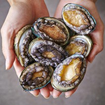 손질 편한 완도 활 전복 회 제철 1kg 7미부터 80미까지 내장 물회 죽 대 특대 선물 당일 채취, 1kg 50-80미