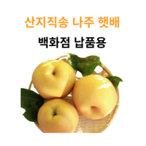 꿀뚝뚝 꿀배] 고당도 햇 배 프리미엄 산지직송 완벽포장 가정용 고급 선물용, 00. 3kg 나주배 (백화점용)