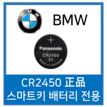 파나소닉 BMW 자동차 스마트키 호환 건전지 CR2450, 2개