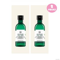 The Body Shop Tea Tree Skin Toner 더바디샵 티트리 스킨 클리어링 매티파잉 토너 250ml 2팩