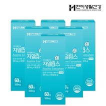 한미생활건강 [한미생활건강]구취 숙취 입냄새 제거 입속가글 자일립스 500mg 60정 6박스 +쇼핑백/한알가득프로바이오틱스