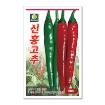 다농 신홍고추 씨앗 50립