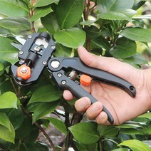 접목가위 다용도 원예공구 조경가위 과수원 접붙이기 접지가위 조경용품, 허브쿠팡 그린