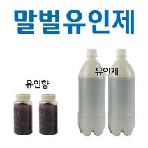 친환경 장수 말벌 퇴치기 포획기 제거기 DM-B10, 말벌포획기유인제+유인향2+2