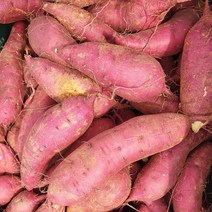 2022 해남 햇고구마 베니하루카 홈쇼핑 베로니카 베니지민 하루까 세척 꿀 고구마 5KG, 세척고구마5kg특상(10013954)