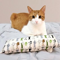 스너그펫 고양이 뭉게구름 캣닢쿠션, 사각 S