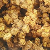 요리조리 국내산 토종 햇 흙 생강 1kg, 단품없음