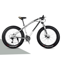 광폭타이어 MTB자전거 샤프 폭스 오프로드 타이어 산악 남녀 학생 자전거, 24단, 26인치, 실버