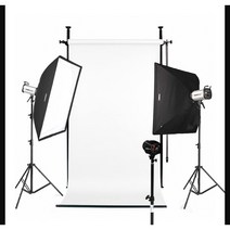 [다복점빵] 포멕스 사진조명 스튜디오 촬영 세트 (E400 STUDIO-C) 고정형 배경시스템 (배경지135cm 화이트) 펫 강아지 고양이 애완동물 추천