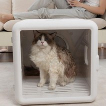 펫 털말리기 드라이룸 고양이 강아지 드라이기 털말리는 기계, H1 항온 표준체 고양이