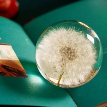 스노우볼 워터볼 민들레 크리스탈 유리 수지 렌즈 볼 천연 식물 표본 feng shui 꽃 크리스마스 사랑 선물 홈 장식 공, s