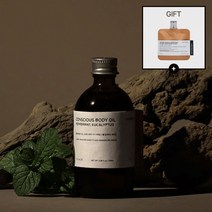 톤28 바디 오일 상상(想像) 100ml+H2(워터블랑향), 단품