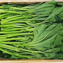업소 식당용 아욱4KG _ S320101EA