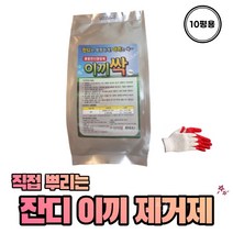 이끼싹 1kg + 작업장갑 1SET 잔디 비료 영양제 산소 묘지 골프장 이끼 제거제, 1세트