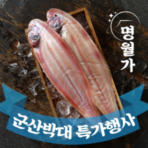 [특가행사] 반건조 군산 박대 서대 말린 생선 구이용 조림용 진공포장, [중] 26~29cm 10마리, 10개