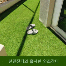 보급형 마당인조잔디 인조잔디매트 조경용인조잔디 두께20mm (1롤/2롤), 2롤(2mx25m)