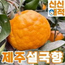 제주 고당도 설국향 수라향 신비향 신품종 아스미 3kg 5kg, 설국향 3kg(10-15과)