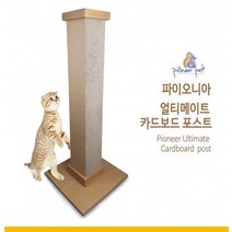 파이오니아 얼티메이트 카드보드 포스트 캣타워 스트레스해소 장난감 운동기구 휴식공간 캣 고양이 튼튼한스크래쳐 포스트리필 평판형, 1set, 고양이 얼티메이트 튼튼한 스크래쳐 카드보드 포스트 캣타워+ 카드보드 포스트리필