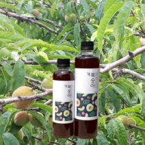 자연 발효 개복숭아원액 주스 돌복숭아, 개복숭아원액 300ml