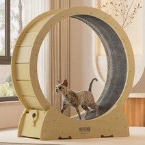 스크래치 보드 단단한 나무 고양이 러닝 휠 턴테이블, L