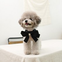 프레쉬어랏 블랙 큐빅리본 강아지 케이프, 1개, 블랙_M