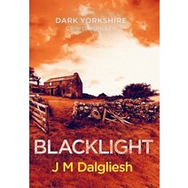 Blacklight Hardcover, Hamilton Press Limited, English, 9781800809703