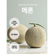 [백화점납품과일]초신선 국내산 머스크메론 과일선물 고당도 프리미엄 / 가락시장 당일경매입고 당일배송 임산부과일, (특1등급)머스크메론 8kg 3-4수