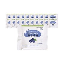 썬넛트 하루견과 블루베리25g x 20봉, 25g(1개), 20개