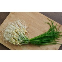달래 500g 1kg 국내산 산지직송 생 달래나물 세척 손질된 향긋한 달래 봄나물 나물무침, 1box