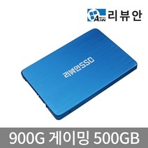 리뷰안 900G 게이밍 DRAM탑재 SATA SSD, 500GB, 용량