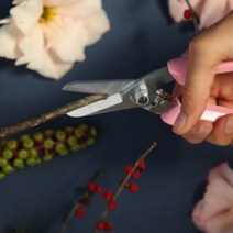 일본 아로스 전정 전지 가위 원예 조경 과수원 195mm