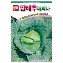 [모종심는아빠] 더위에 강하고 내병성이 있는 조생종 양배추 대박나 씨앗 2500립, 1개