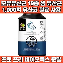 모유유산균 가루 분말 루테리 가세리 프리미엄 생 유산균 19종 1000억 유산균 원료 프로 프리 신 바이오틱스, 1개, 170g