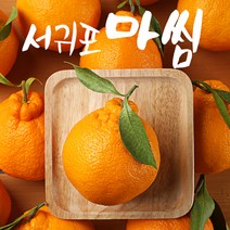 서귀포 첫수확 당도선별 고당도 한라봉 5kg 10kg, 한라봉 10kg 중과(38-48과)가정용