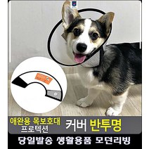 보호 중성화수술후넥카라 강아지물품 애완용 반투명 강아지수술후 UFO넥카라 생활용품, 6호