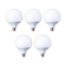 삼영전기 LED 볼 전구, 주광색(하얀빛), [1등급]14W-롱타입, 5개