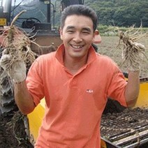 (햇삼/750g)다림용난발삼 세척인삼 쭉뻗은 원수삼 영업용삼계.가정용실속파삼특가/선물용행사/금산부부인삼.못난이난발삼추천, 1개, (19)750G원수삼15-19뿌리