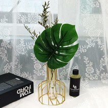 골드 몬스테라 천연 디퓨저 100ml 실내 방향제, 교보문고