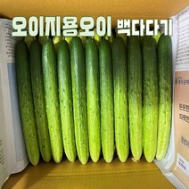 오이지용오이 백다다기 국내산오이 신선한 못난이오이, 1