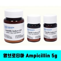 [클릭해바] Ampicillin sodium usp grade 암브로티아 AMP5B 5G 항생제 암피실린 파우더 미생물 실험 과학 감수성 내성 antibiotics 시약, AMP5B 5G+스티커