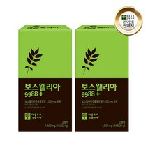 보스웰리아 보스엘리아 추출 분말 보스웰릭산 보수엘리아 가루 파우더 스틱 포, 2개, 15포