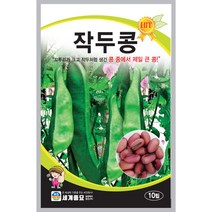 작두콩 씨앗 10립 제일 큰 크기를 자랑하며 영양소가 풍부한 콩 세계종묘