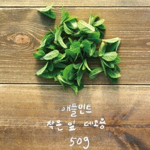 [애플민트생잎50] 안산팜 무농약 스위트 바질, 1box, 스윗바질 100g, 100g