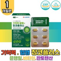 기억력 혈행 개선 식 약 처 인증 징코 은행잎 추출물 찡코 진코 아연 판토텐산 비타민B 나이아신 식 약 처 인증 플라보노이드 플라보놀 배당체 인지력 뇌 두뇌 맞춤 영양제 수험생 청소년 부모님 할머니 할아버지 중년 홈쇼핑 GINKGO